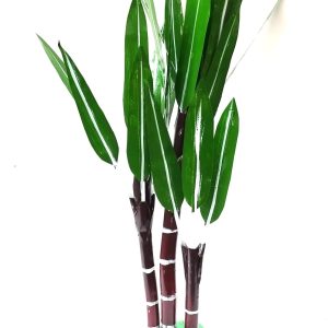 handicrafts sugarcane tree 1.6 ft