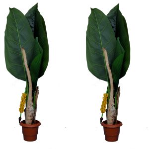 handicrafts banana tree  home decor 3 ft