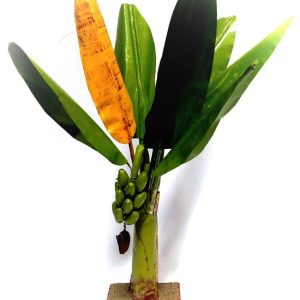 artificial banana tree handicrafts 1 ft 1 pice set